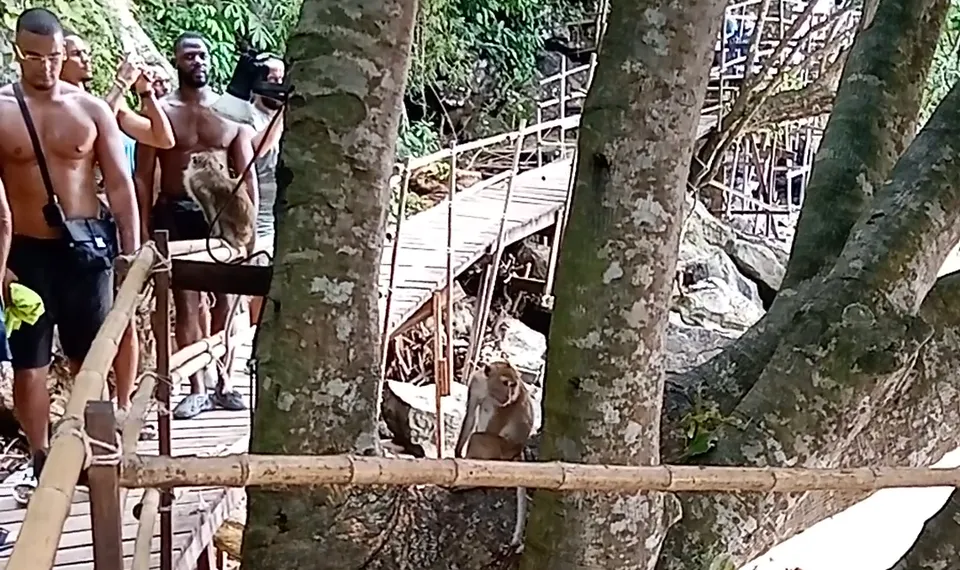 Sendero de los monos en Ao Nang Krabi
